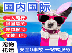 扎兰屯机场邮寄国际宠物托运 【国